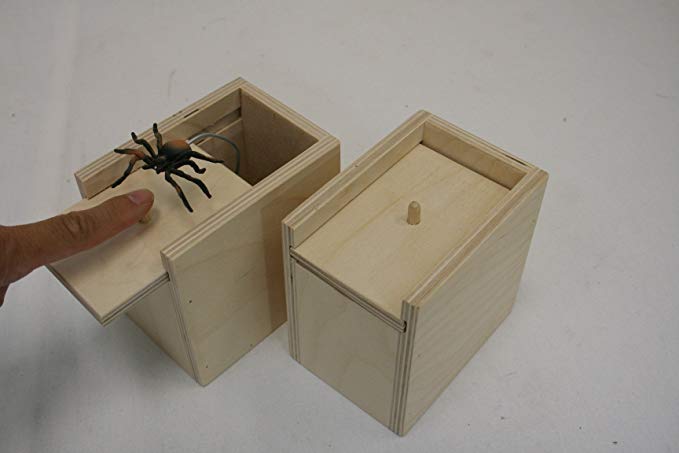 spider scare box prank