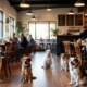 dog friendly restaurants in vero beach