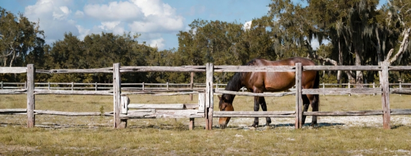 vero beach vs wellington